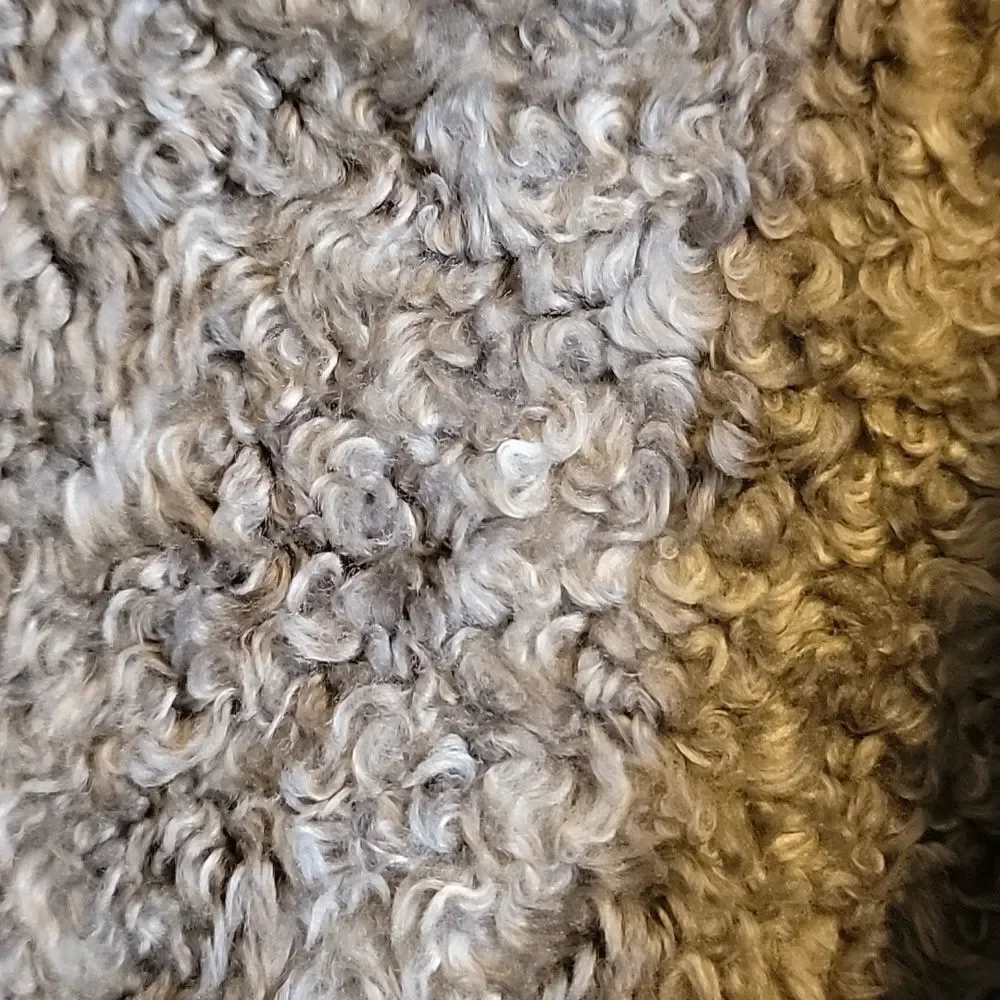 Ella Moss jacket zips